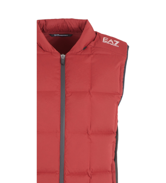 EA7 Gilet in piumino bordeaux