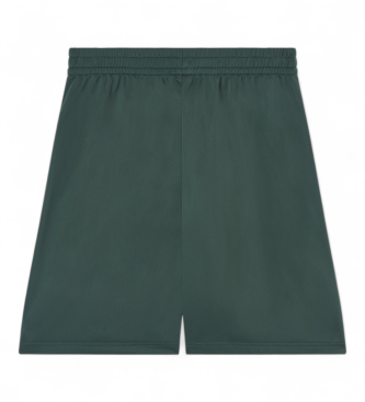 EA7 Graphic Series Shorts M Gr�n