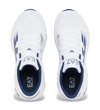 EA7 Superge Kobra bela, modra
