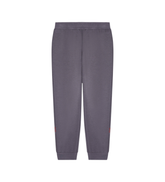 EA7 Tracksuit Logo Series grey