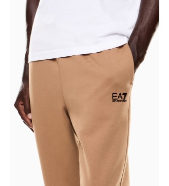 EA7 Calas eleitorais castanhas