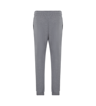 EA7 Pantaln de chndal Visibility en mezcla de algodn gris