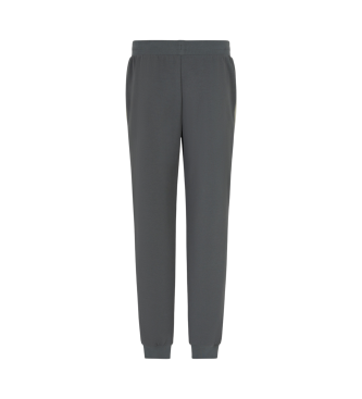 EA7 Jogginghose Summer Block grau