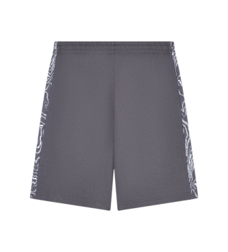 EA7 Shorts Visibility grey