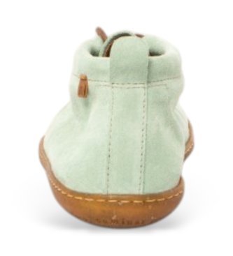 El Naturalista Ankelst�vlar i l�der N5290 El Viajero gr�n