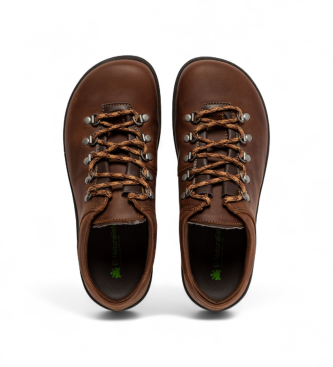 El Naturalista Arizona brown shoes