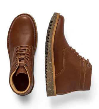 El Naturalista Brune ankelstvler i lder N5634