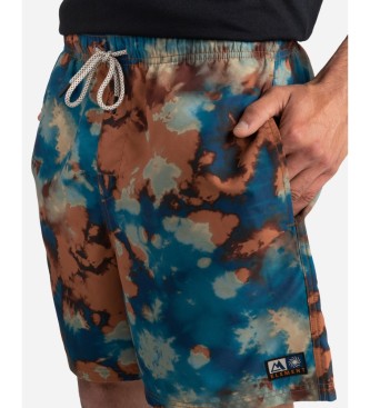 ELEMENT Shorts Canyon Wk multicoor 