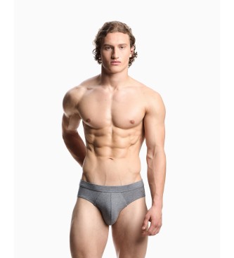 Emporio Armani Satz 2 Pima-Slips grau