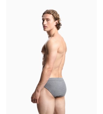 Emporio Armani Satz 2 Pima-Slips grau