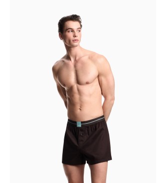 Emporio Armani Set 2 Logo Label Boxer shorts marron, bleu