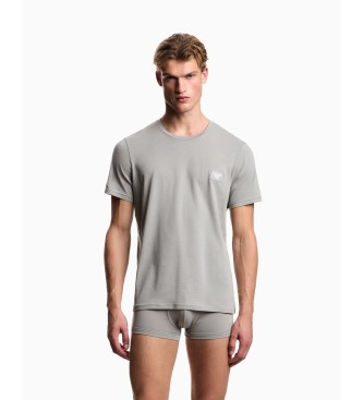 Emporio Armani Set of 2 t-shirts with black logo label, gray