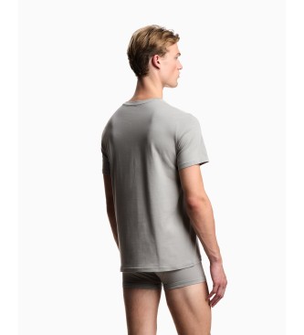Emporio Armani Set of 2 t-shirts with black logo label, gray