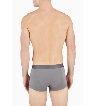 Emporio Armani PAKKE MED TO BXER BRIEF PANTS MED MIXED STAMPINGS flerfarvet