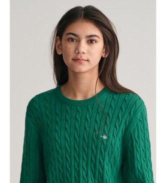 Gant Shield Teens camisola de malha de algodo verde com gola redonda e oitos