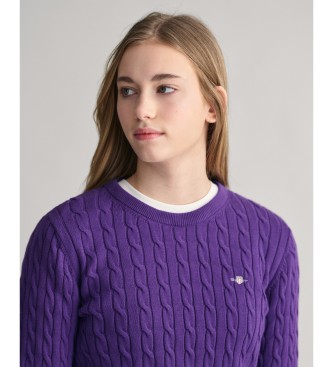 Gant Shield Teen lilac cotton jersey knitted pullover in ecru