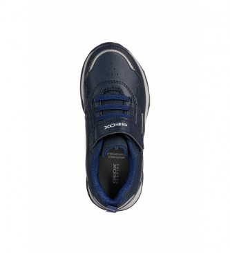 GEOX Sneakers Calco navy  