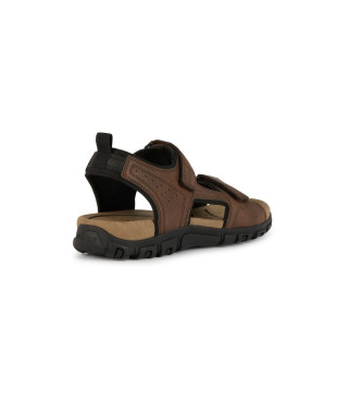 GEOX Uomo Strada brown sandals