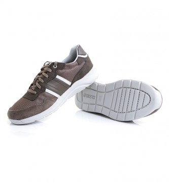 GEOX Sneakers U Damiano B grey