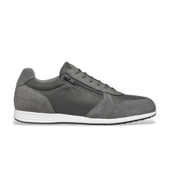 GEOX Baskets Arthien gris