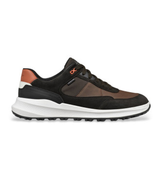 GEOX Schoenen Pg1x Abx bruin