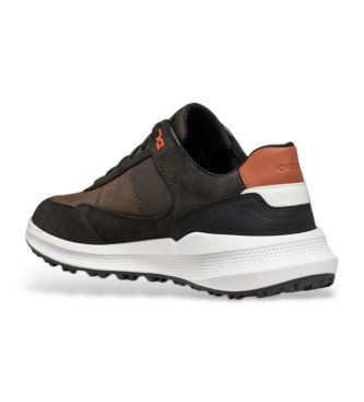 GEOX Schoenen Pg1x Abx bruin