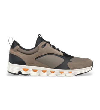 GEOX Spherica Ecub-4 shoes brown