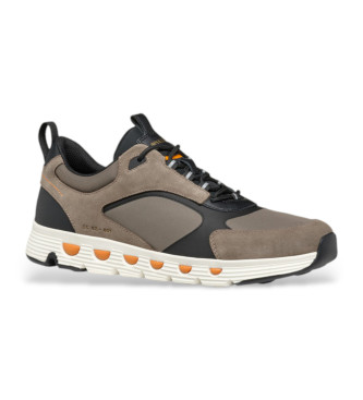 GEOX Buty Spherica Ecub-4 brązowe