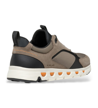 GEOX Spherica Ecub-4 shoes brown