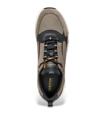 GEOX Spherica Ecub-4 Schuhe braun