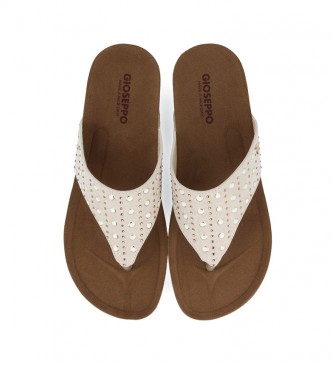 Chanclas Havaianas Cuña | Shop www.jardimartimoniz.pt