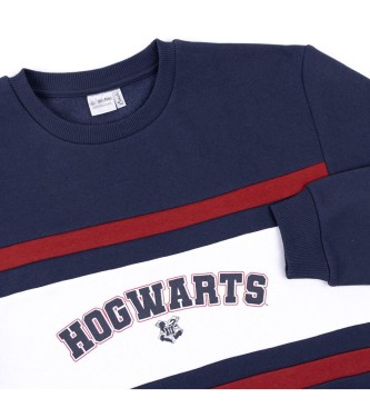 Cerdá Group Harry Potter Navy Sweatshirt