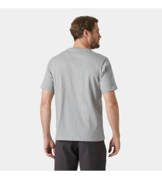 Helly Hansen Logo 3.0 T-shirt grau