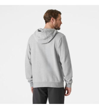 Helly Hansen Logo Hoodie 2.0 grey