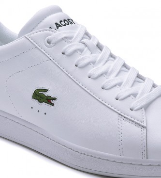 Lacoste bambas Clearance