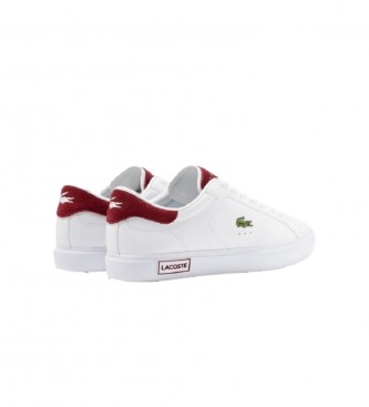 Lacoste Chaussures en cuir Powercourt blanches
