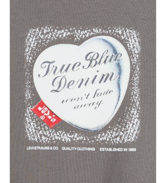 Levi's T2 Perfect gray T-shirt