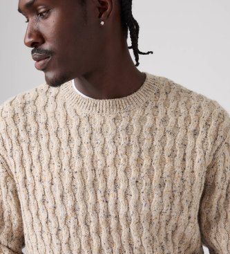 Levi's Presidio Crew Neps sweater brun
