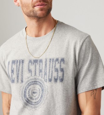 Levi's Camiseta estampada con fit holgado gris