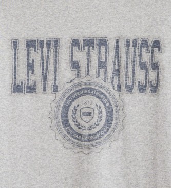 Levi's Gr, lstsiddende T-shirt med tryk