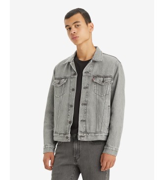 Levi's Trucker jacket for Pari's grey