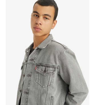 Levi's Trucker jacket for Pari's grey