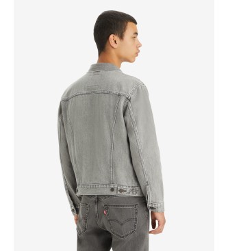 Levi's Trucker jacket for Pari's grey