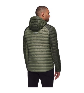 Mammut Hooded Jacket Albula In green