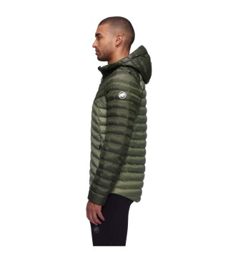 Mammut Hooded Jacket Albula In green