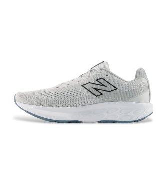 New Balance Zapatillas Fresh Foam 520 v9 gris