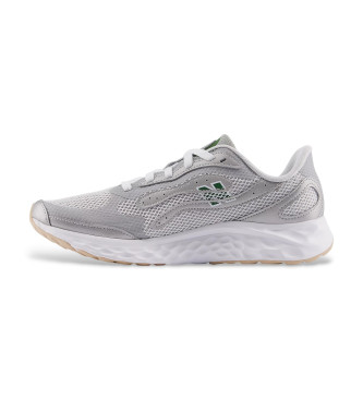New Balance Fresh Foam Arishi v4 blue-gray sneakers