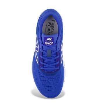 New Balance Baskets Fresh Foam X EVOZ v4 bleu