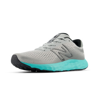 New Balance Schoenen 520 V8 grijs