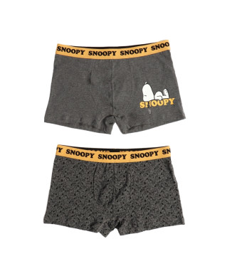 Aznar Innova Pack 2 Boxer shorts Snoopy grey